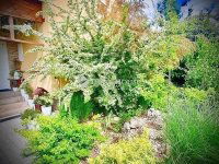 Eladó családi ház, XVII. kerületben 127 M Ft, 5 szobás