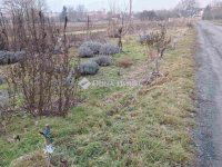 Eladó telek, Körmenden 0.99 M Ft / költözzbe.hu