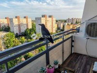 Eladó panellakás, Kecskeméten 28.5 M Ft, 1 szobás