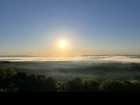 Eladó mezogazdasagi ingatlan, Zalaszabaron 39.5 M Ft