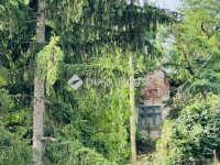 Eladó családi ház, Piliscsabán 120 M Ft, 3 szobás