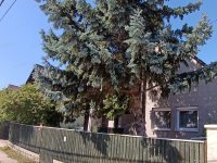 Eladó családi ház, Szajolon 59.9 M Ft / költözzbe.hu