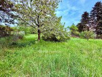 Eladó telek, Solymáron 64.99 M Ft / költözzbe.hu