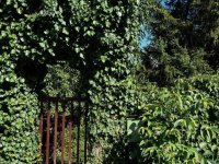 Eladó családi ház, Pécsett 125 M Ft, 5+2 szobás