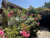 Eladó családi ház, Pécsett 81.5 M Ft, 5 szobás