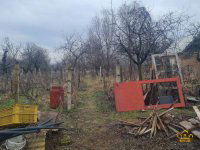 Eladó mezogazdasagi ingatlan, XXI. kerületben 39 M Ft