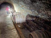 Eladó mezogazdasagi ingatlan, Hásságyon 4.5 M Ft