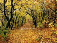 Eladó téglalakás, II. kerületben 98 M Ft, 1+2 szobás