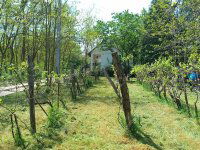 Eladó telek, Téten 8 M Ft / költözzbe.hu