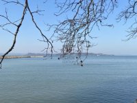 Eladó téglalakás, Balatonföldváron 95 M Ft, 2 szobás