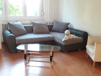 Eladó panellakás, Szegeden, Szamos utcában 38.5 M Ft, 1+1 szobás