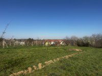 Eladó telek, Villányban 35 M Ft / költözzbe.hu