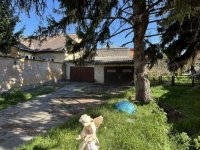 Kiadó családi ház, albérlet, Kecskeméten 150 E Ft / hó