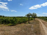 Eladó telek, Vászolyon 42 M Ft / költözzbe.hu