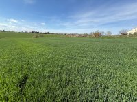 Eladó telek, Cserszegtomajon 14.9 M Ft / költözzbe.hu