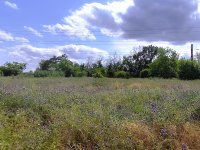 Eladó telek, Szigetcsépen 25 M Ft / költözzbe.hu