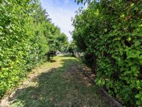 Eladó családi ház, Pécsett 120 M Ft, 6 szobás