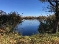 Eladó telek, Békésen 5 M Ft / költözzbe.hu