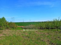 Eladó telek, Aszódon 41 M Ft / költözzbe.hu