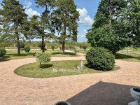 Eladó mezogazdasagi ingatlan, Dánszentmiklóson 124 M Ft