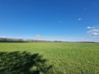 Eladó mezogazdasagi ingatlan, Sülysápon 40.5 M Ft