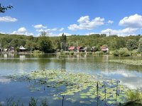 Eladó mezogazdasagi ingatlan, Pécelen 25.9 M Ft, 1+2 szobás