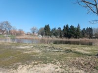 Eladó családi ház, Szegeden 54.99 M Ft, 2 szobás