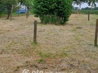 Eladó családi ház, Lippón 21.5 M Ft, 3 szobás