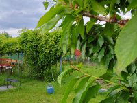 Eladó nyaraló, Székesfehérvárott 11 M Ft, 1 szobás