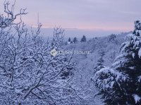Eladó családi ház, Szentendrén 195 M Ft, 7 szobás