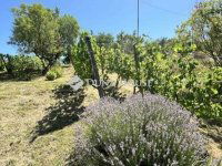 Eladó mezogazdasagi ingatlan