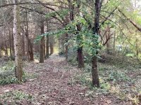 Eladó telek, Gyomaendrődön 13.8 M Ft / költözzbe.hu