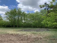 Eladó mezogazdasagi ingatlan