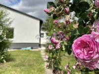 Eladó családi ház, XVIII. kerületben 84.9 M Ft, 3 szobás