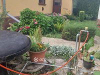 Eladó családi ház, Tiszabercelen 23.9 M Ft, 3 szobás