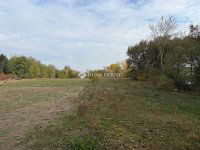 Eladó telek, Albertirsán 31 M Ft / költözzbe.hu