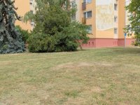 Eladó panellakás, Mosonmagyaróváron 44.5 M Ft, 2 szobás