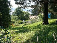 Eladó telek, Velencén 37 M Ft / költözzbe.hu