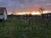 Eladó mezogazdasagi ingatlan