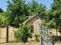 Eladó mezogazdasagi ingatlan, Szekszárdon, Cinka utcában 4.9 M Ft