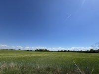 Eladó mezogazdasagi ingatlan, Papkeszin 2.49 M Ft