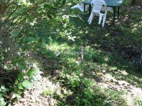 Eladó telek, Fonyódon 35 M Ft / költözzbe.hu