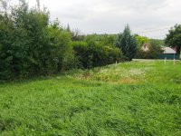 Eladó telek, Telkin 51 M Ft / költözzbe.hu