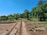 Eladó családi ház, Albertirsán 24.9 M Ft, 3 szobás