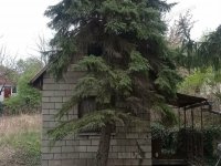 Eladó nyaraló, Sóskúton 19.5 M Ft, 1 szobás