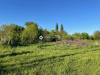 Eladó telek, Zalaszentgróton 9.75 M Ft / költözzbe.hu