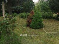 Eladó telek, Érden 35 M Ft / költözzbe.hu