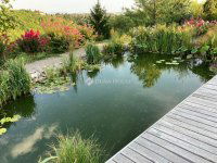 Eladó családi ház, Pécsett, Középdeindol közben 290 M Ft