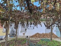 Eladó családi ház, Tápiószentmártonon 48 M Ft, 4 szobás