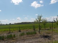 Eladó mezogazdasagi ingatlan, Csengelén 8.9 M Ft